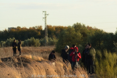 diego martínez castañeda