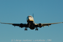 diego martínez castañeda