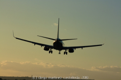 diego martínez castañeda