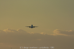 diego martínez castañeda