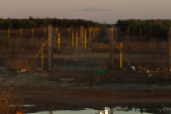 diego martínez castañeda