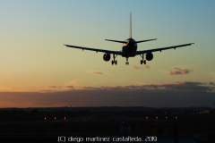 diego martínez castañeda