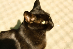 20191124-refugio-la-higuera-anastasia-kondratieva-27