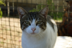 20191124-refugio-la-higuera-anastasia-kondratieva-31