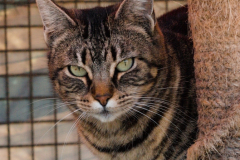 20191124-refugio-la-higuera-diegomc.org-03