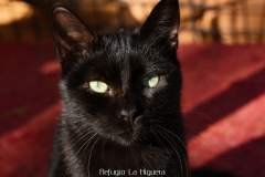 20191124-refugio-la-higuera-diegomc.org-10