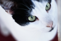 20191124-refugio-la-higuera-diegomc.org-61