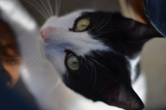 20191124-refugio-la-higuera-hugo-quezada-02