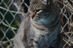 20191124-refugio-la-higuera-hugo-quezada-06