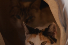 20191124-refugio-la-higuera-hugo-quezada-09