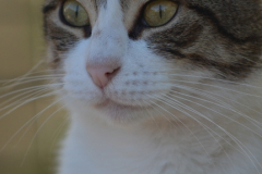 20191124-refugio-la-higuera-hugo-quezada-11