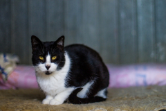 20191124-refugio-la-higuera-susana-servan-27