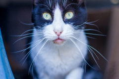 20191124-refugio-la-higuera-susana-servan-44