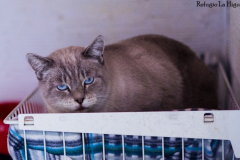 20191124-refugio-la-higuera-susana-servan-51