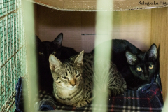 20191124-refugio-la-higuera-susana-servan-53