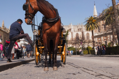 diego martínez castañeda