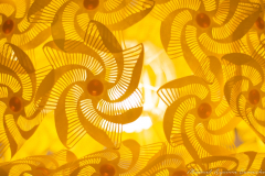 Manuel Aguirre Camacho